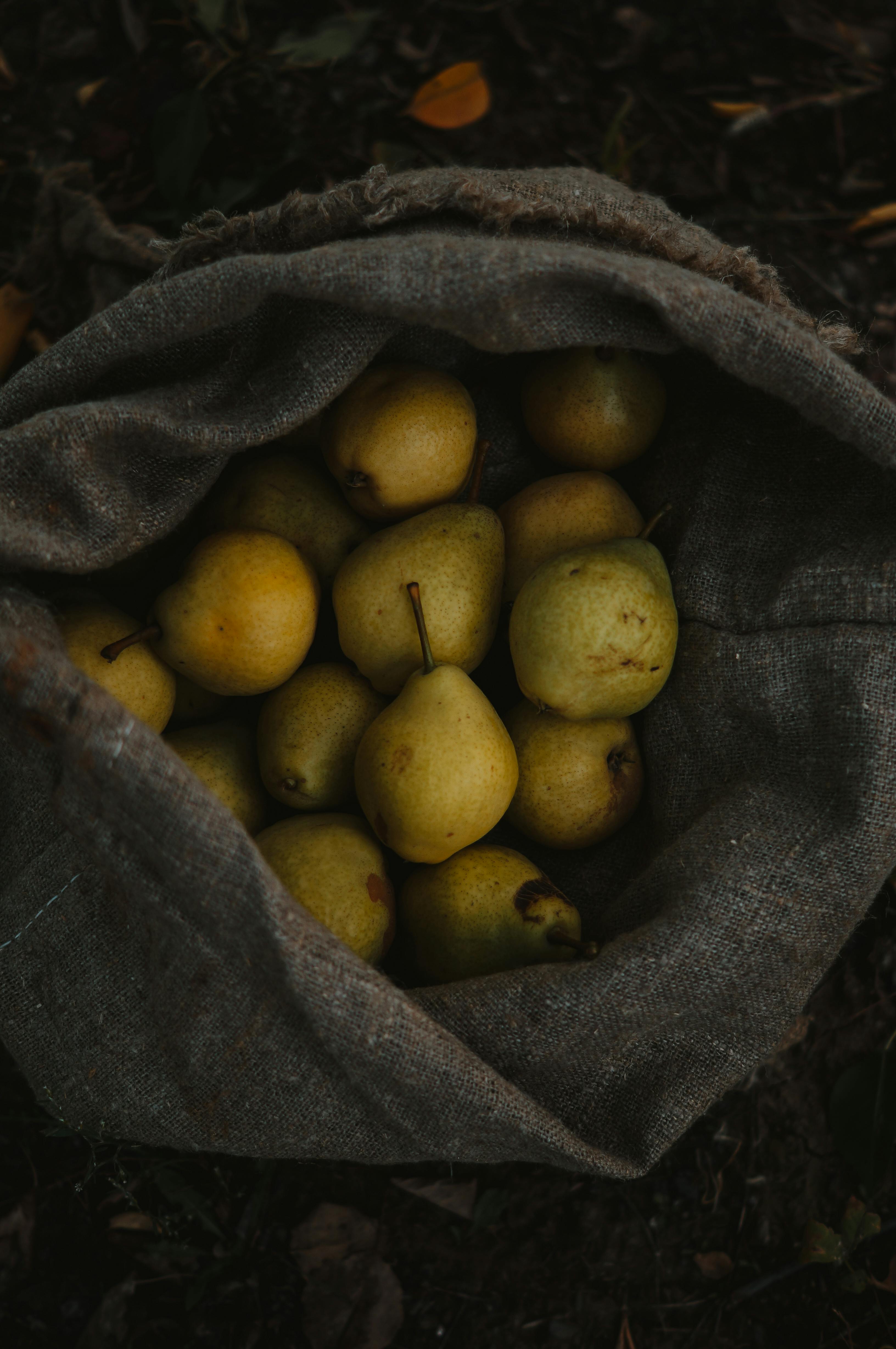 A collection of freshly harvested organic pears in a rustic burlap sack, captured in dim natural light.
