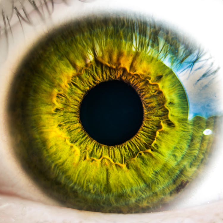 Person's Green Eye