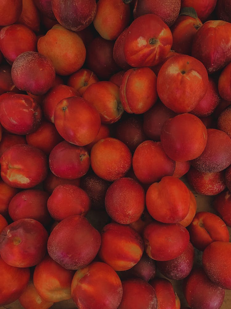 Fresh Delicious Apricots