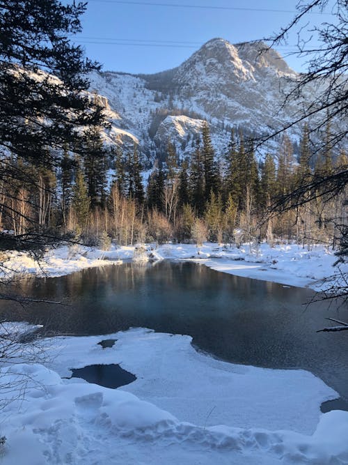 Lake in the Snowy Forest in the Mountains