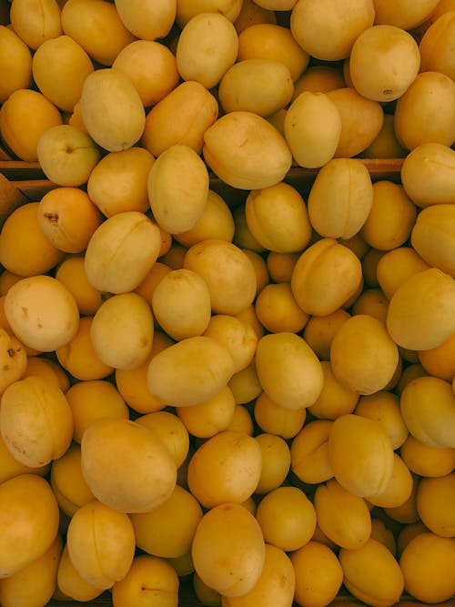 Heap of Ripe Mirabelle Plum 