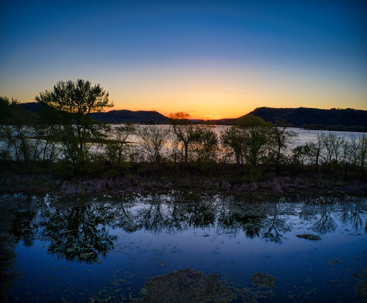 Trees Near The Mississippi River During Dawn