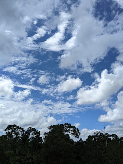 Free stock photo of beautiful sky, blue sky, bluesky