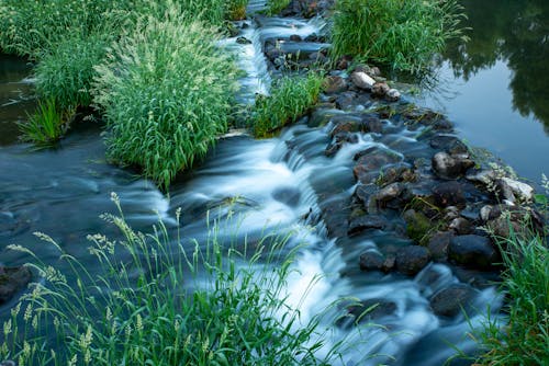 免费 岩石, 水, 河 的 免费素材图片 素材图片