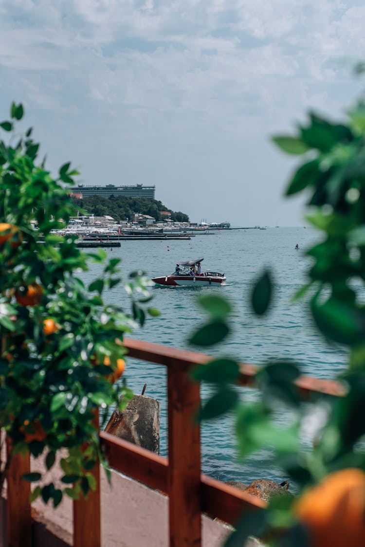 Speedboat On Water