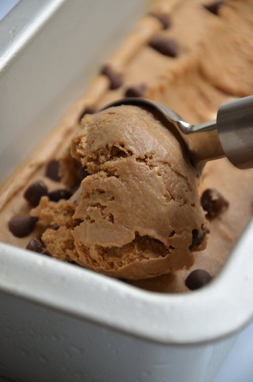 Free Scoop of Chocolate Chip Ice Cream  Stock Photo