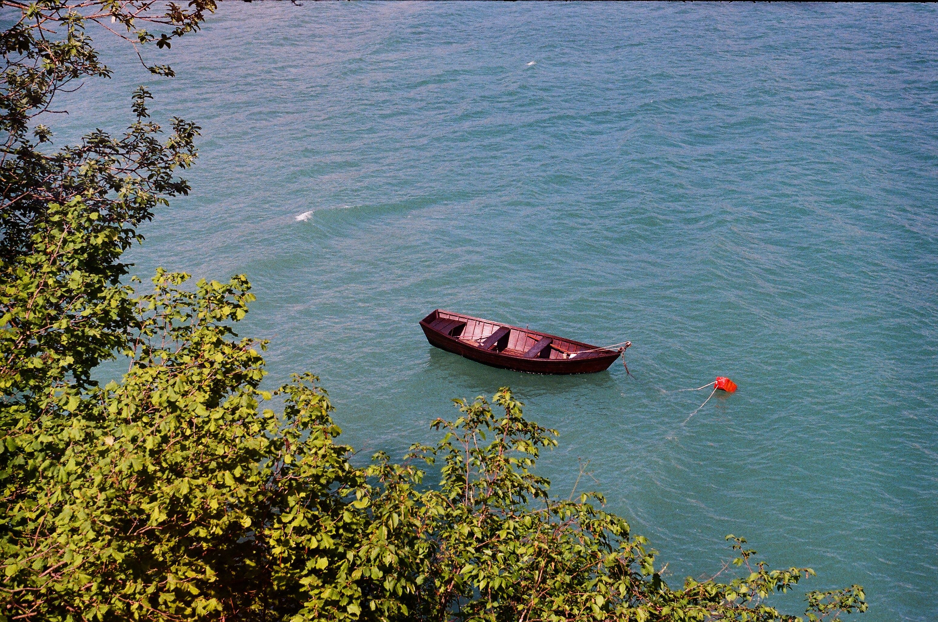 A Brown Boat Moored on a Lake Near Green Leafy Plants · Free Stock Photo