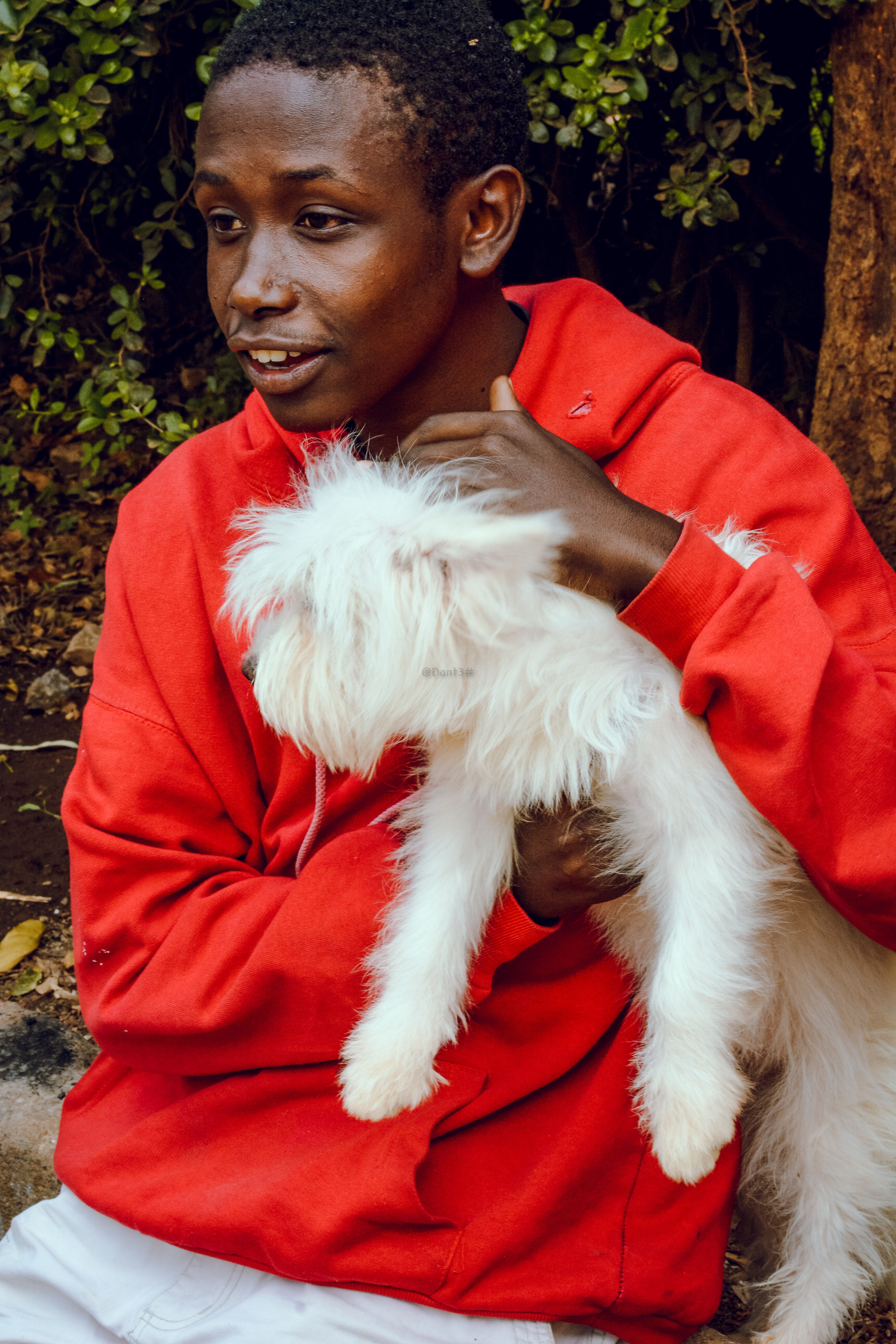 A cheerful boy in a red hoodie lovingly holds his fluffy Maltese dog outdoors, surrounded by greenery.