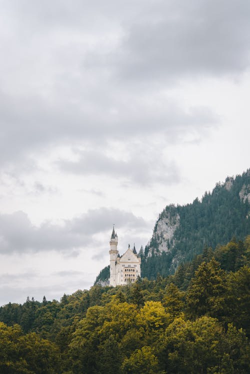 Immagine gratuita di alberi, castello, deutschland