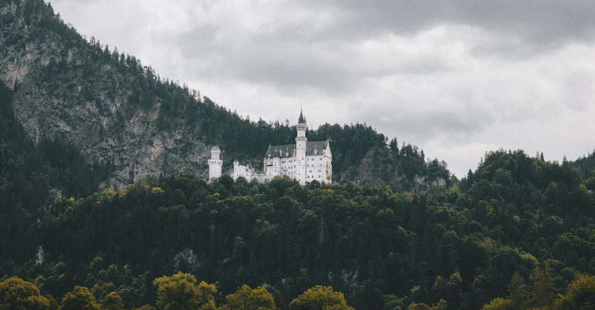 How do you say hello in Germany