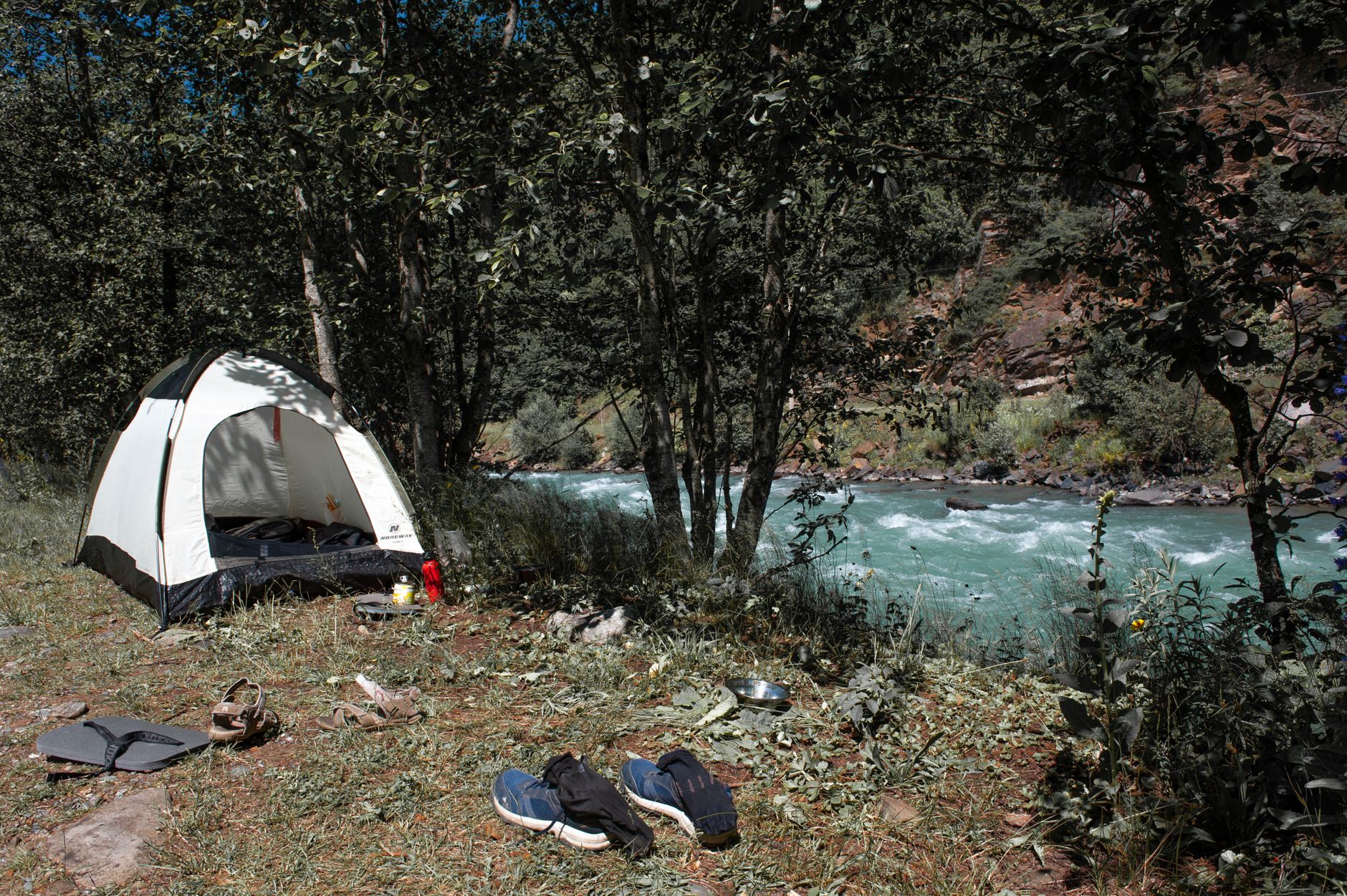 Kanada'da bir tilkinin kamp alanından ayakkabı taşıması