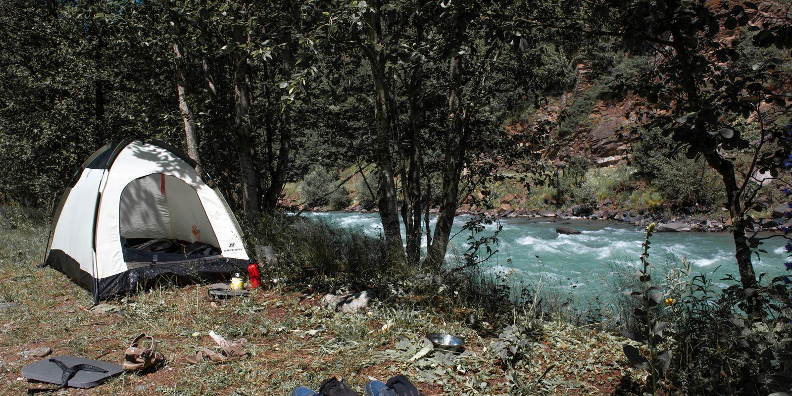 A riverside campsite with a tent amid lush greenery