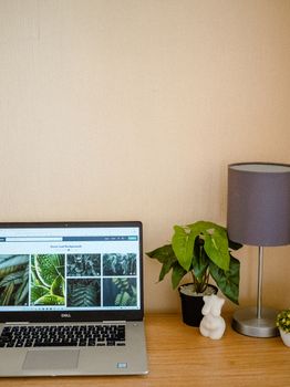 A cozy desktop setup featuring a laptop, lamp, and green potted plant on a wooden table.