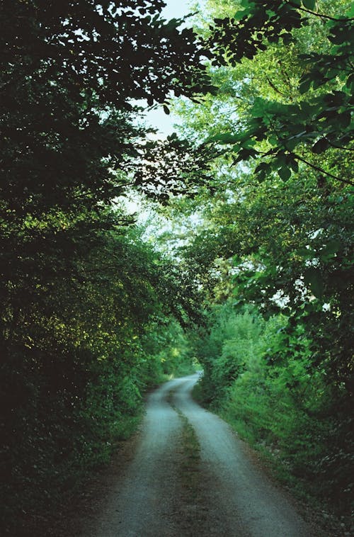 Kostenloses Stock Foto zu außerorts, draußen, feldweg