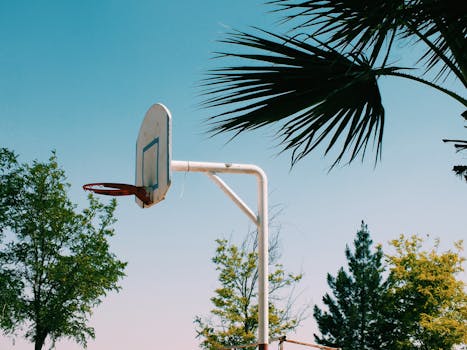 A scenic view of a basketball hoop outdoors surrounded by trees under a clear summer sky.