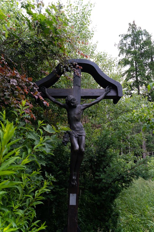 Wooden Crucific surrounded with Plants and Trees 
