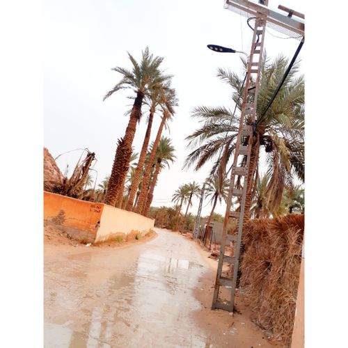 Free stock photo of after rain, algeria, fotos Stock Photo