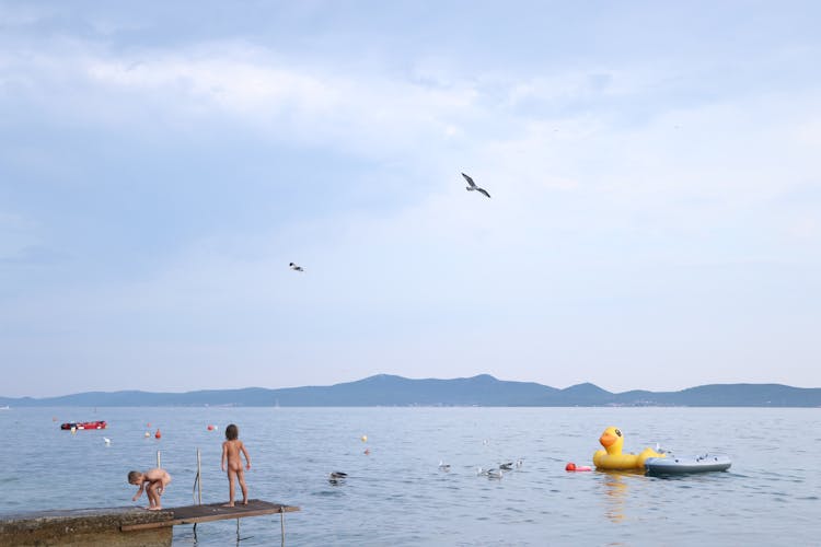 Kids Near The Sea With Floaties And Birds Flying 