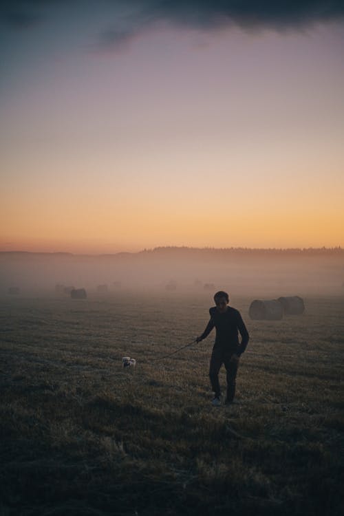 Kostnadsfri bild av dimmig, gående, gräsfält