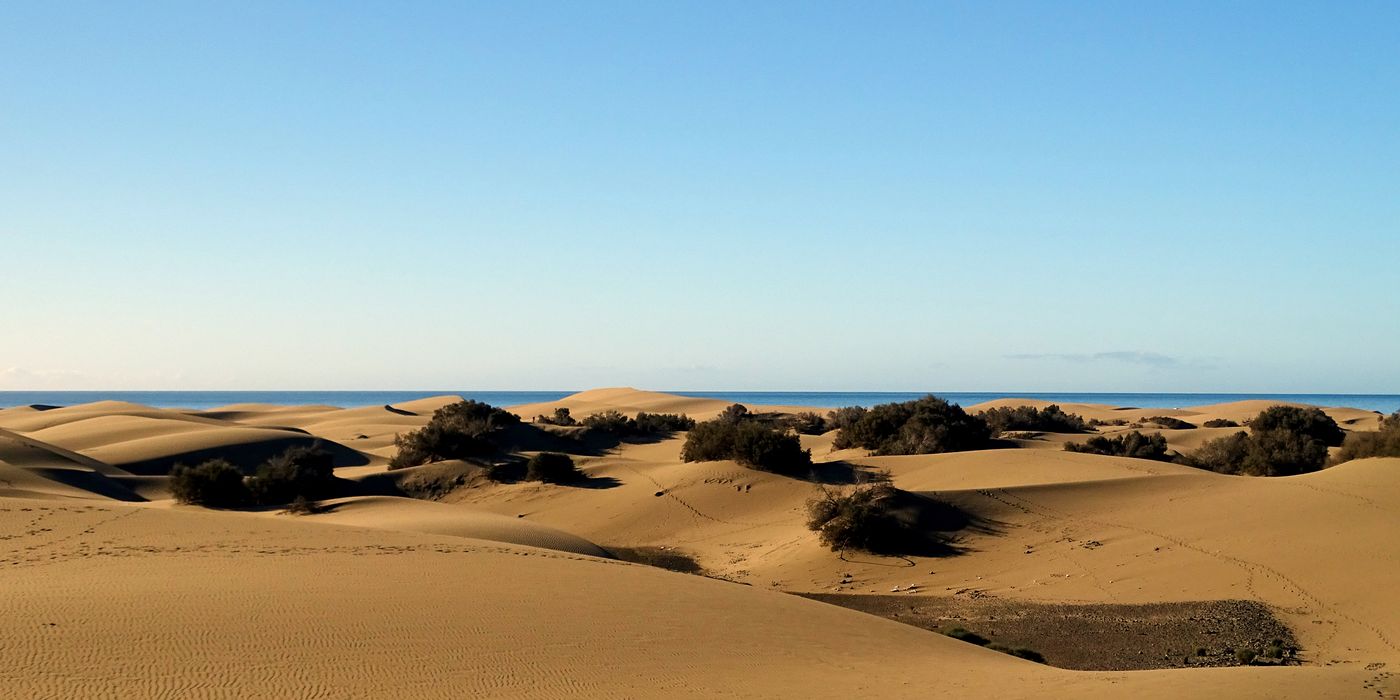 Wind sculpted sand dunes running down to the sea on Gran Canaria