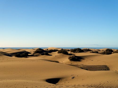Free Explore the tranquil sand dunes of Maspalomas in Gran Canaria under a clear blue sky. Stock Photo