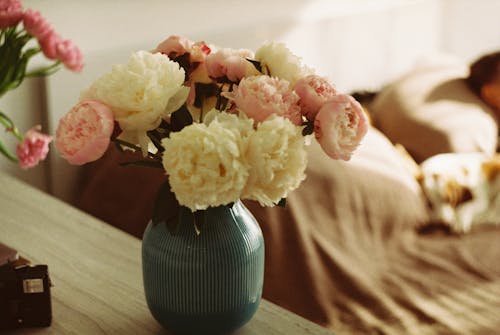 Free Pink and White Roses in a Green Vase Stock Photo