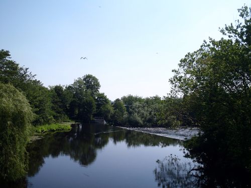 Free A tranquil river scene with lush trees reflecting on calm waters under a clear sky. Stock Photo