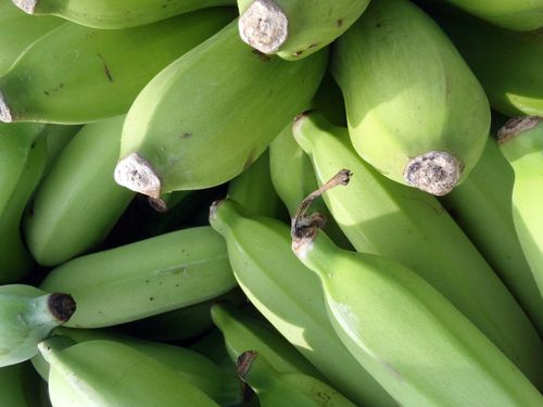 Free A detailed close-up of fresh green bananas, unripe and captured from above, showcasing their texture. Stock Photo