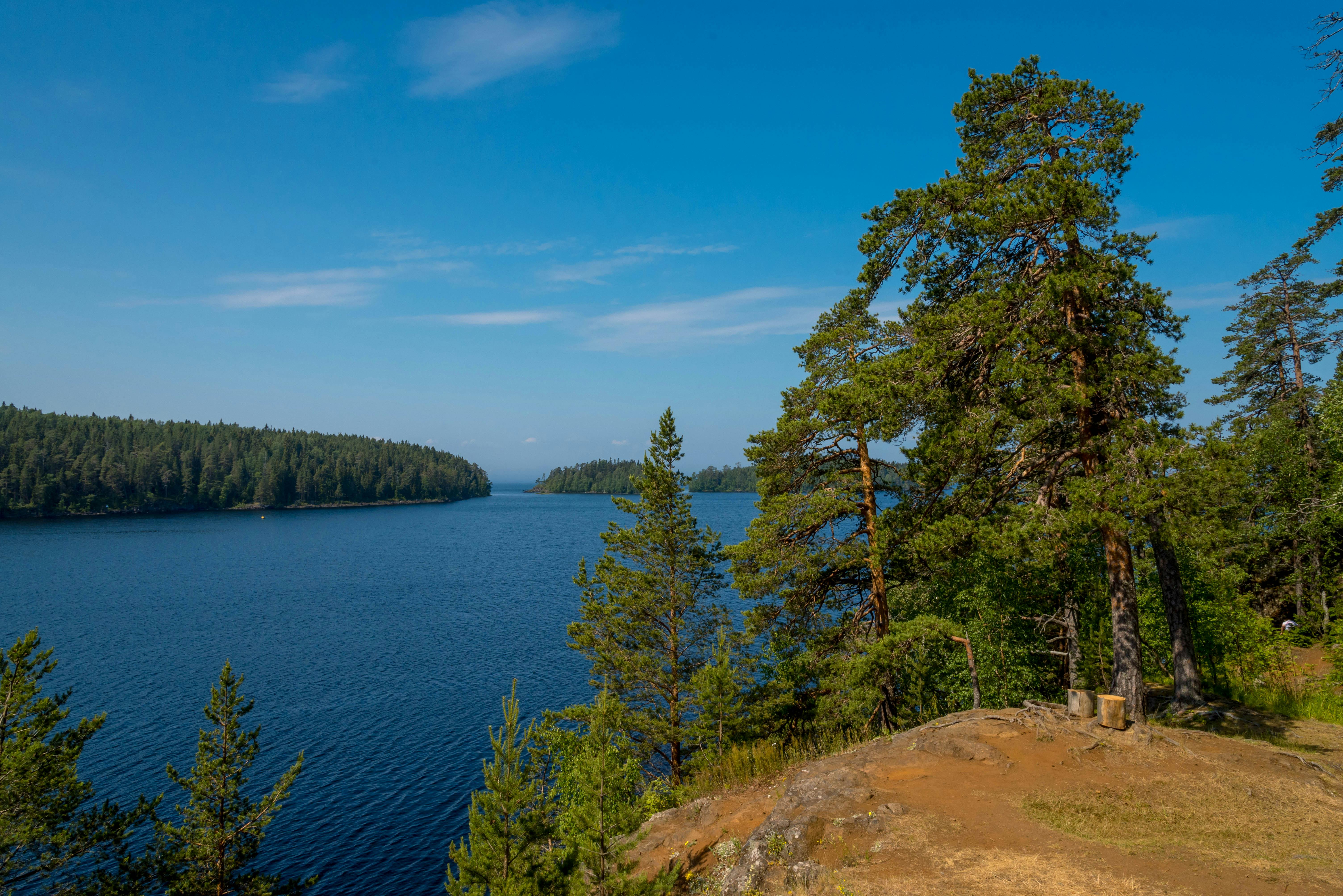 Kostnadsfria Kostnadsfri bild av äventyr, avlägsen, barrskog Stock foto
