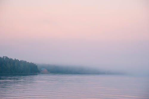 Bezpłatne Darmowe zdjęcie z galerii z fotografia przyrodnicza, gęsty, mgła Zdjęcie z galerii