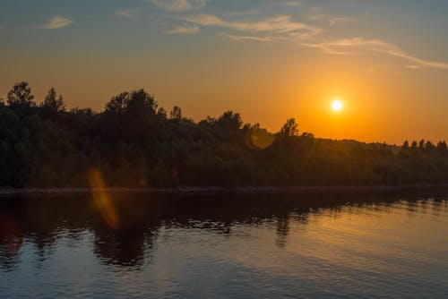 Silhouette of Trees Near Body of Water during Sunset