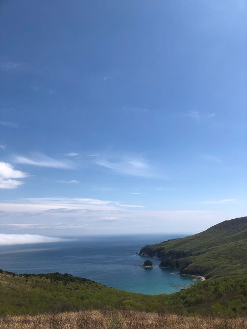 Free A stunning view of the coastline with lush greenery and a clear blue sky. Stock Photo
