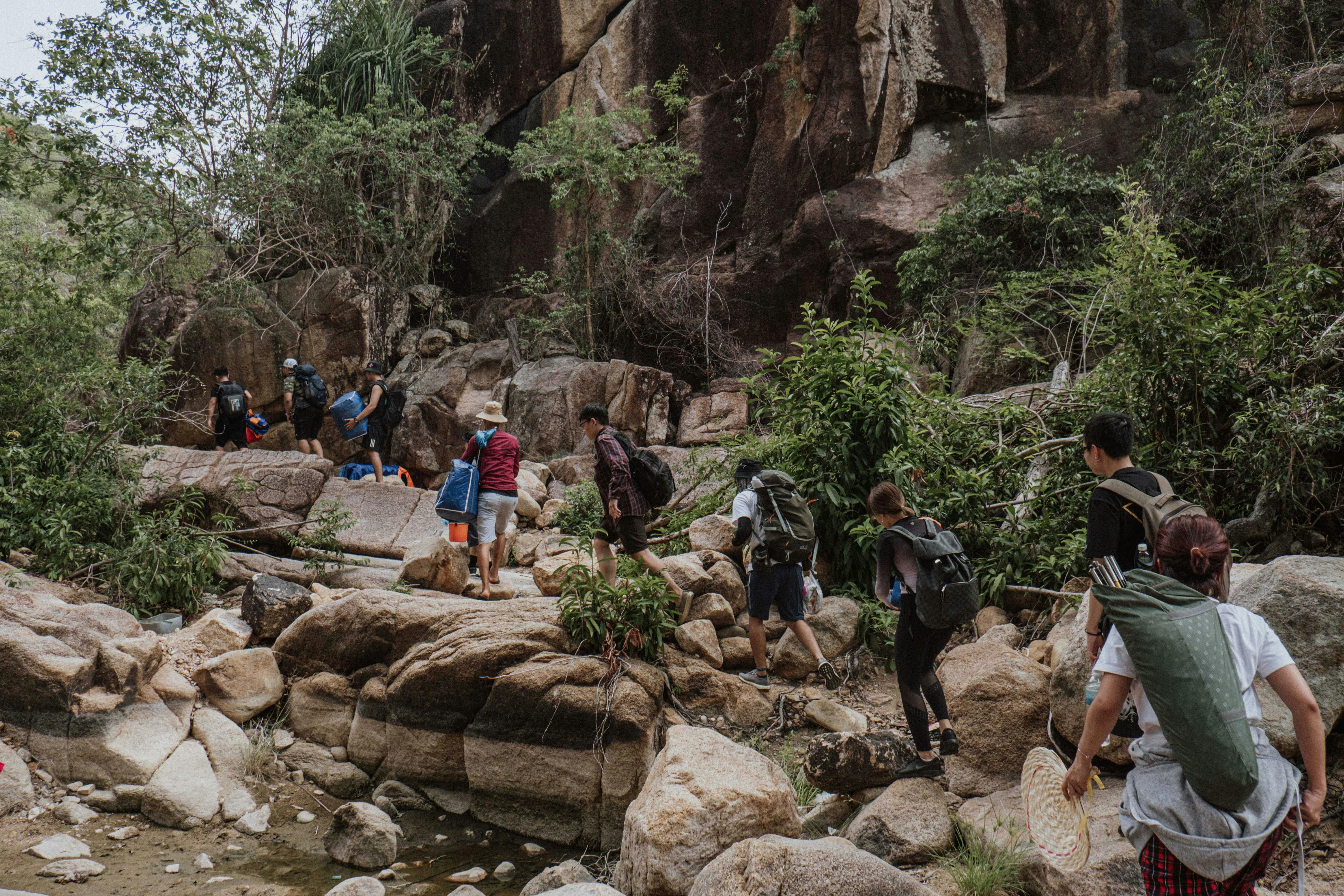 Tourism group decries credit card bill — Photo by Windd on Pexels