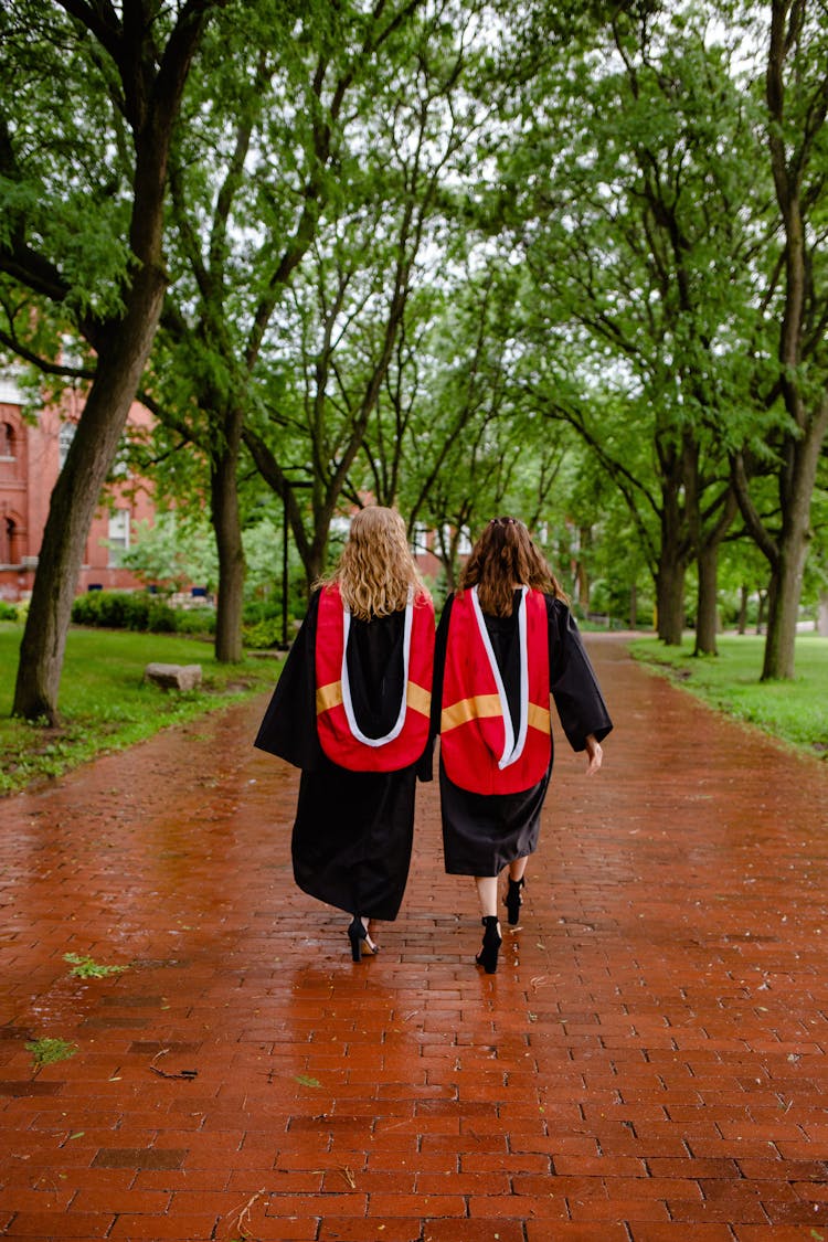 Back View Of Women Walking In Graduation Gowns 