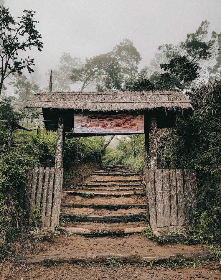 Old Wooden Stairs In Woods