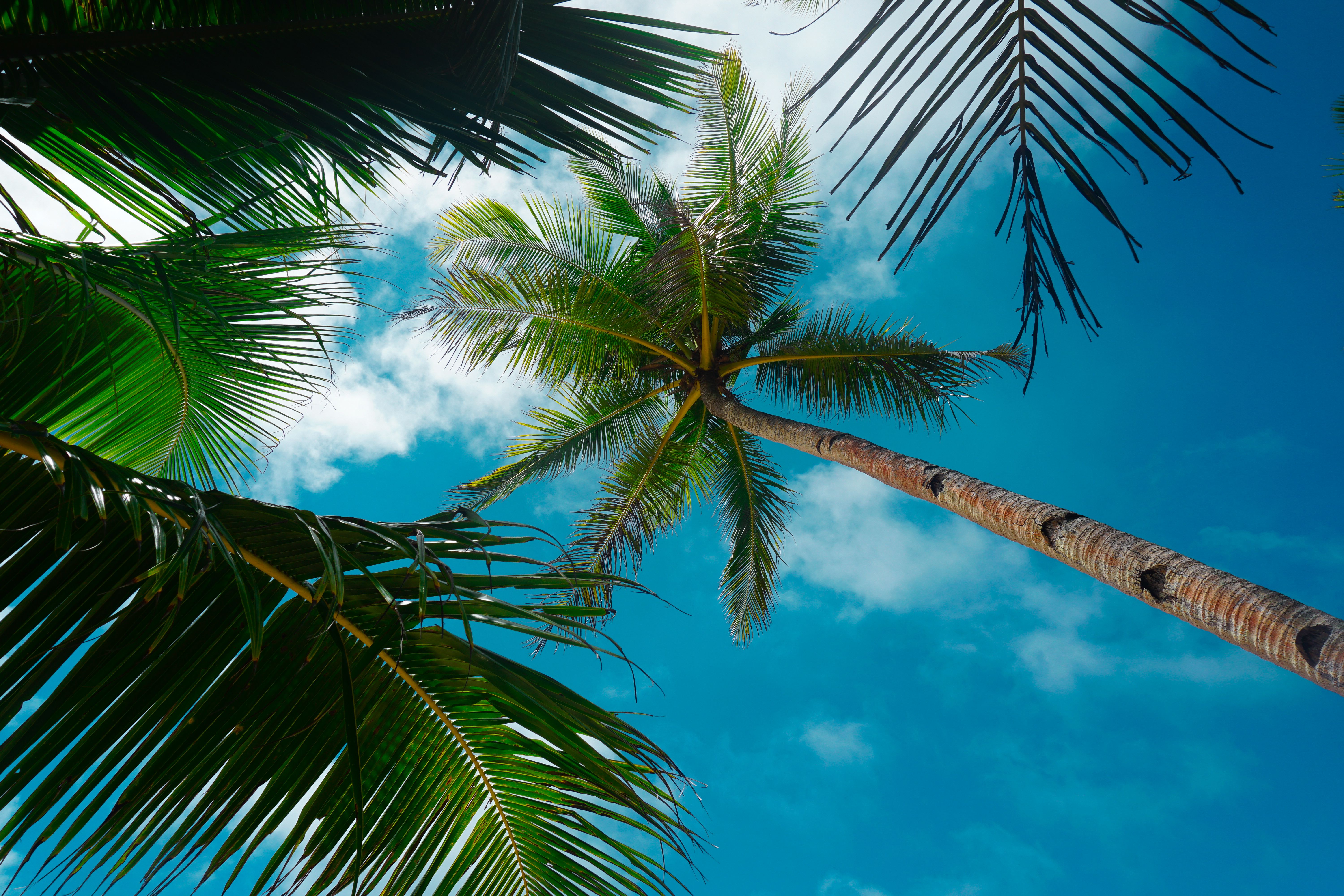 Peter Island Weather by Month — Peter Island travel guide photo