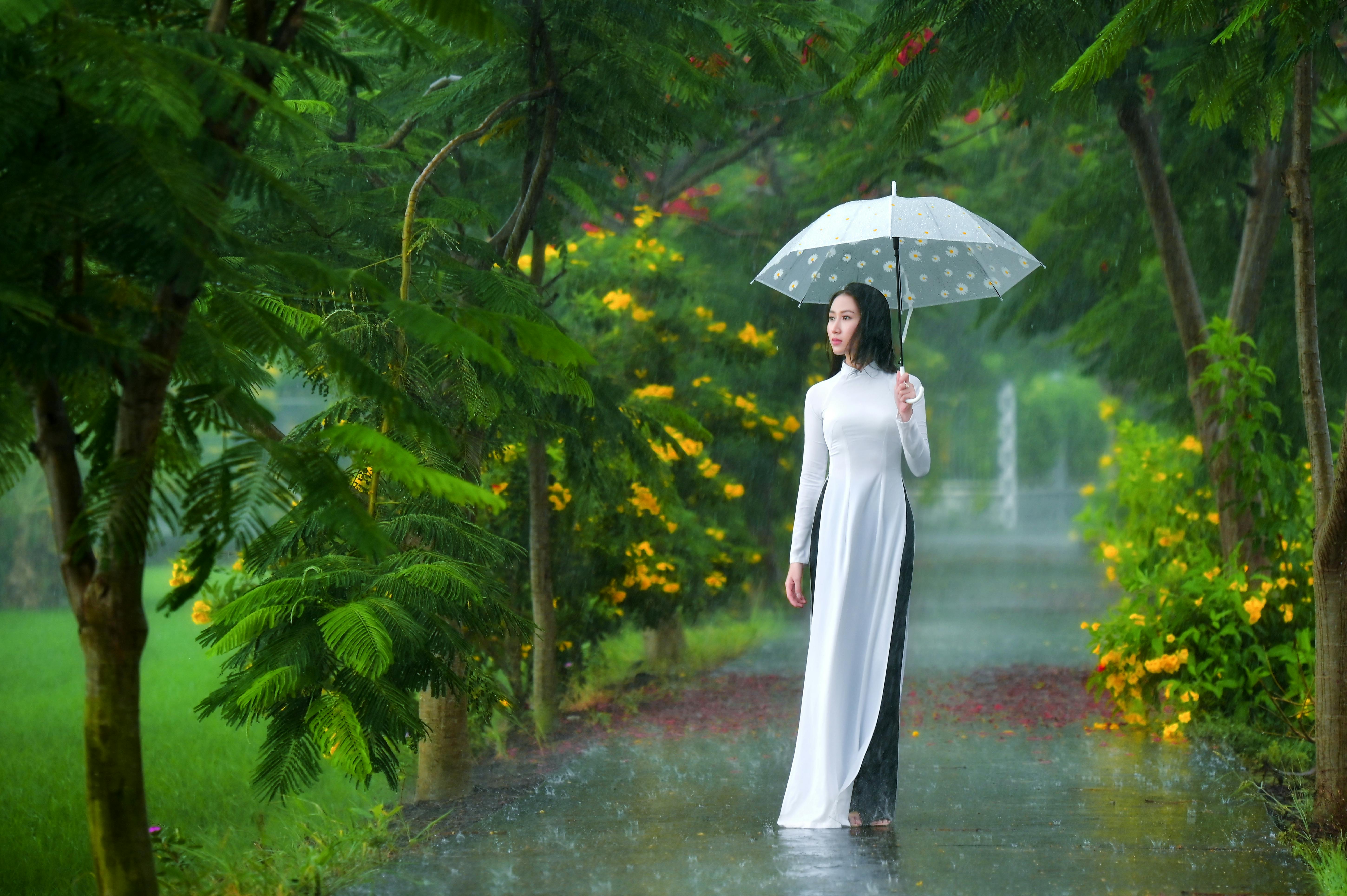 Raining With Umbrella Asian Photos, Download The BEST Free Raining With ...