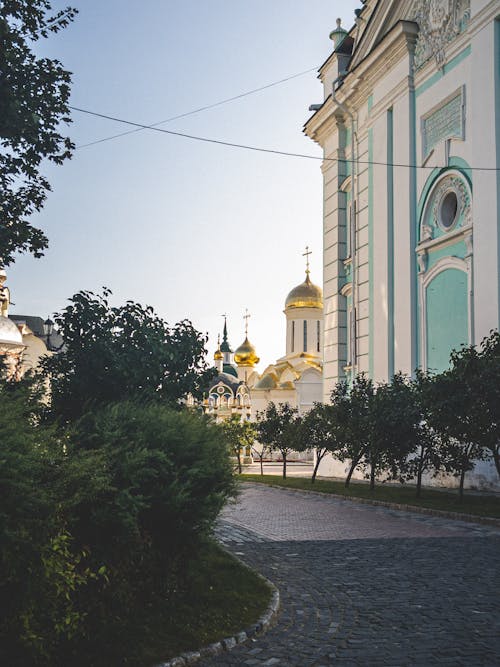 Бесплатное стоковое фото с булыжники, заводы, здание