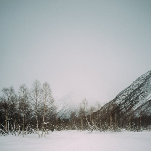 Snow Covered Mountain