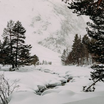 Serene snowy mountain landscape featuring evergreen trees and a small river.