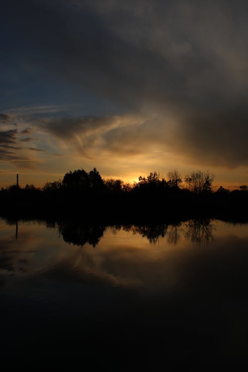 Photos gratuites de arbres, calme, coucher de soleil