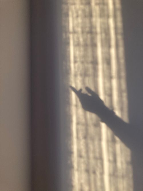 Free Moody shadow of a hand on a curtain in diffused light setting. Stock Photo