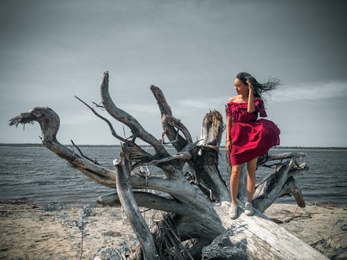 Fotobanka s bezplatnými fotkami na tému biele topánky, červené šaty, človek