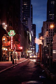 纽约市繁华街道的夜间景观充满活力，霓虹闪烁，城市生活气息浓厚