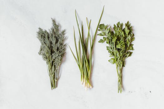 Assorted fresh herbs including dill, chives, and parsley on a white background.