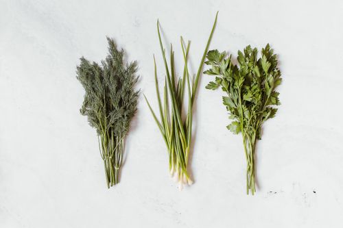 Free Assorted fresh herbs including dill, chives, and parsley on a white background. Stock Photo