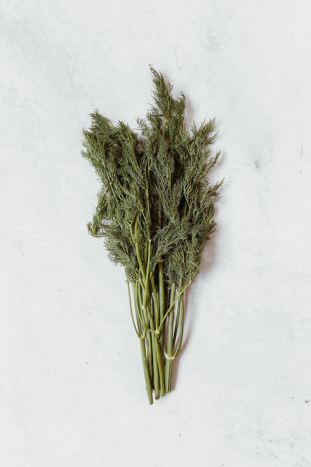 fennel