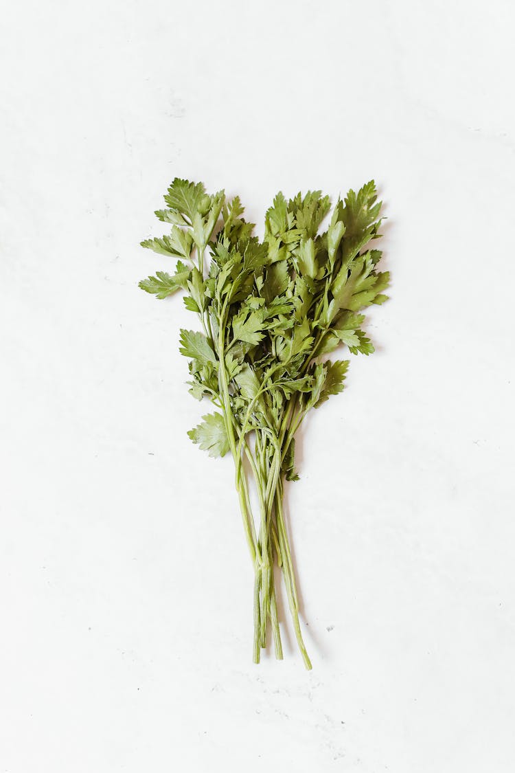 Fresh Celery On A White Surface