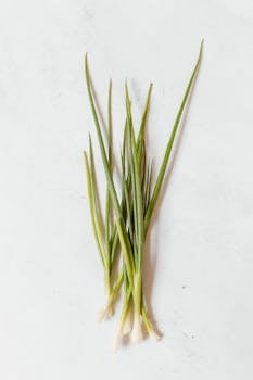 Chives image