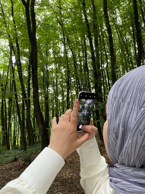 Photos gratuites de arbres, bois, femme